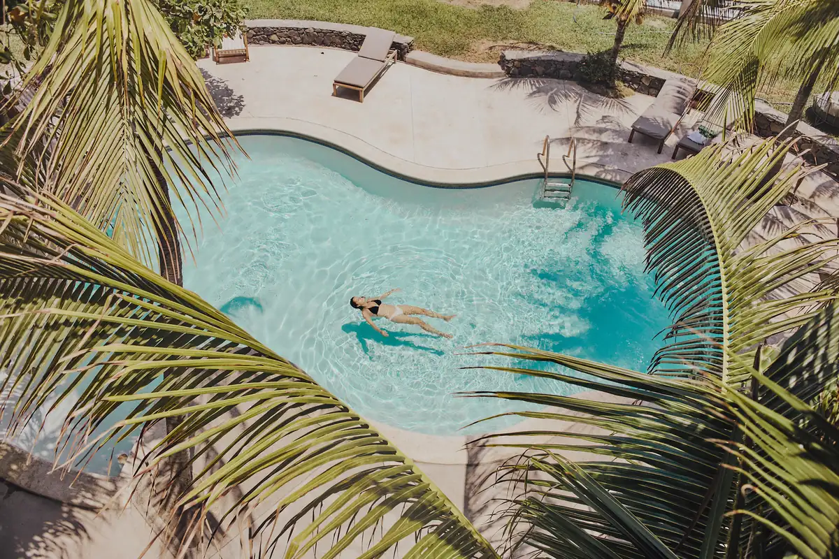 Pool among the palms