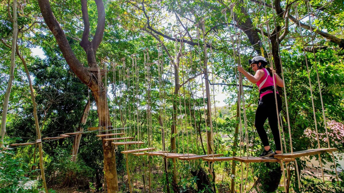 Tour El Aventurero en Parque WTD